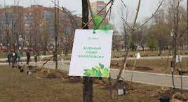 Экологическая акция "Зеленый сквер - Хабаровску"
